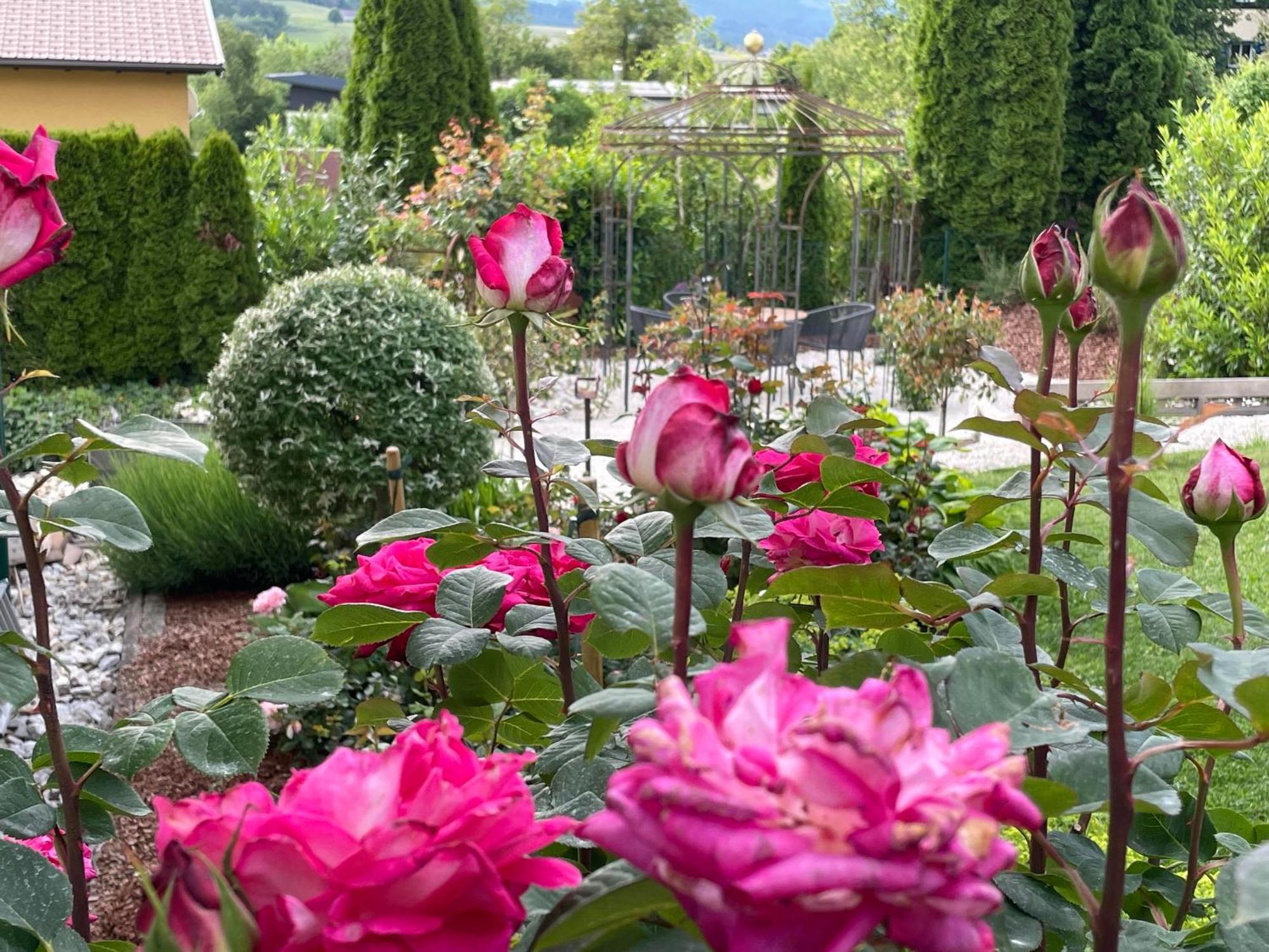 Bed And Breakfast Mittelkaernten Althofen  Екстериор снимка